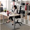 Ultimat Prof. chair mat PC 116x150 cm
