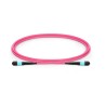 Fibre MTP - MTP F-F 1m OM4 Fibre MTP - MTP F-F 1m OM4