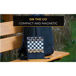 Millennium ChessGenius Pro M815